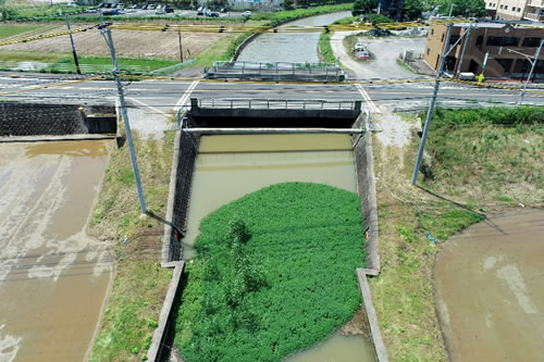 一般国道202号道路改良工事（橋梁下部工）