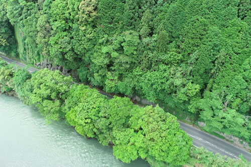 一般国道204号道路災害防除工事（松瀬地区・落石防護柵工2）