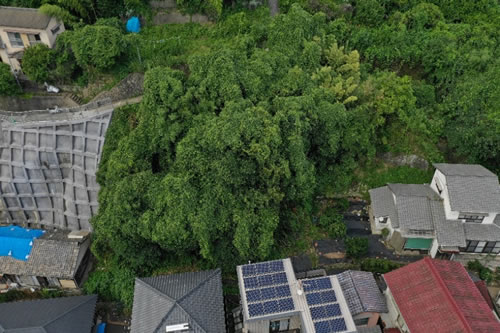 名切（16）地区急傾斜地崩壊対策工事